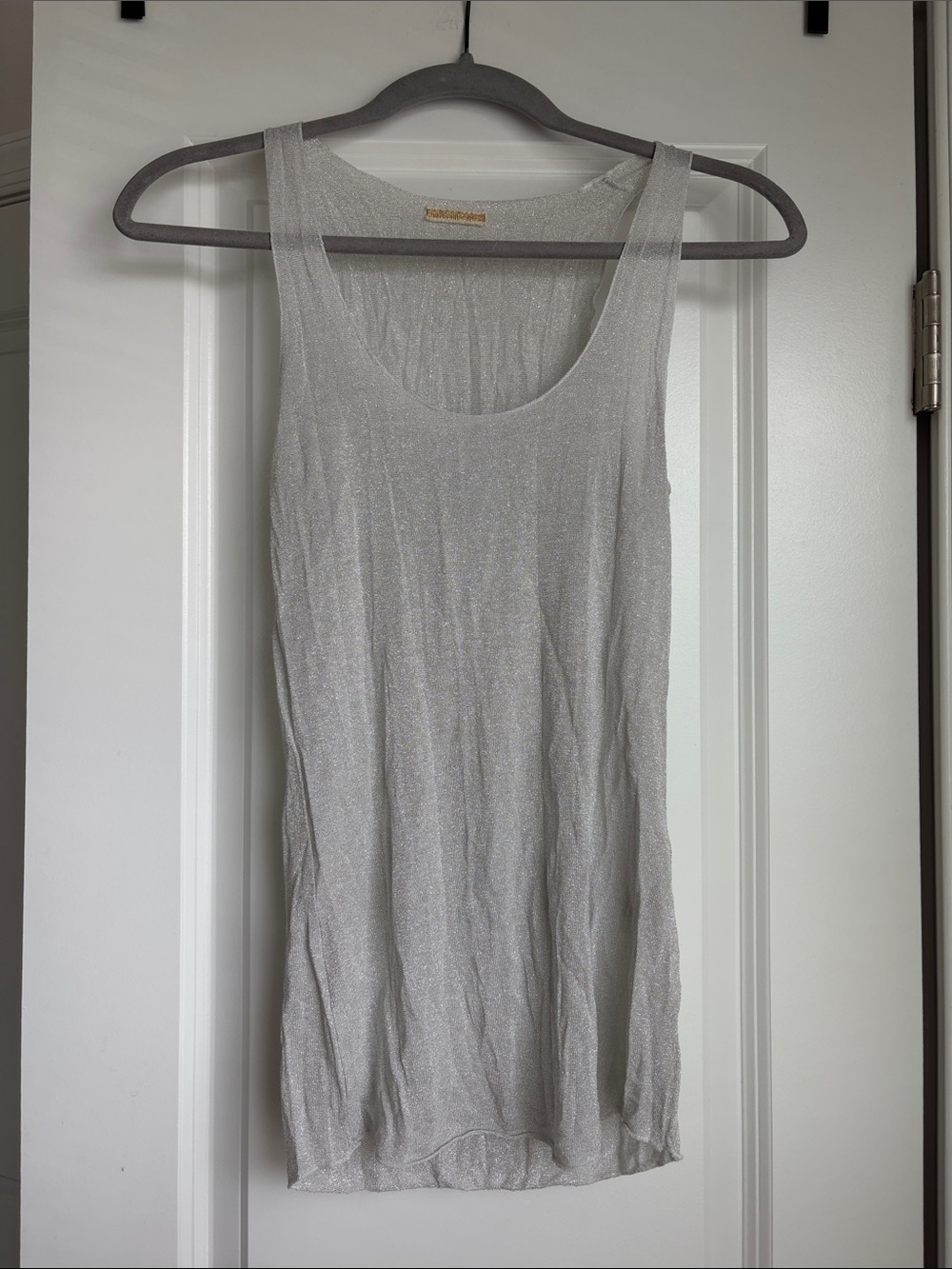 Shimmery Silver Scoop Neck Tank Top